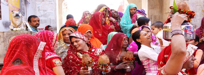 348/Pushkar Resort - Pushkar 11.jpg